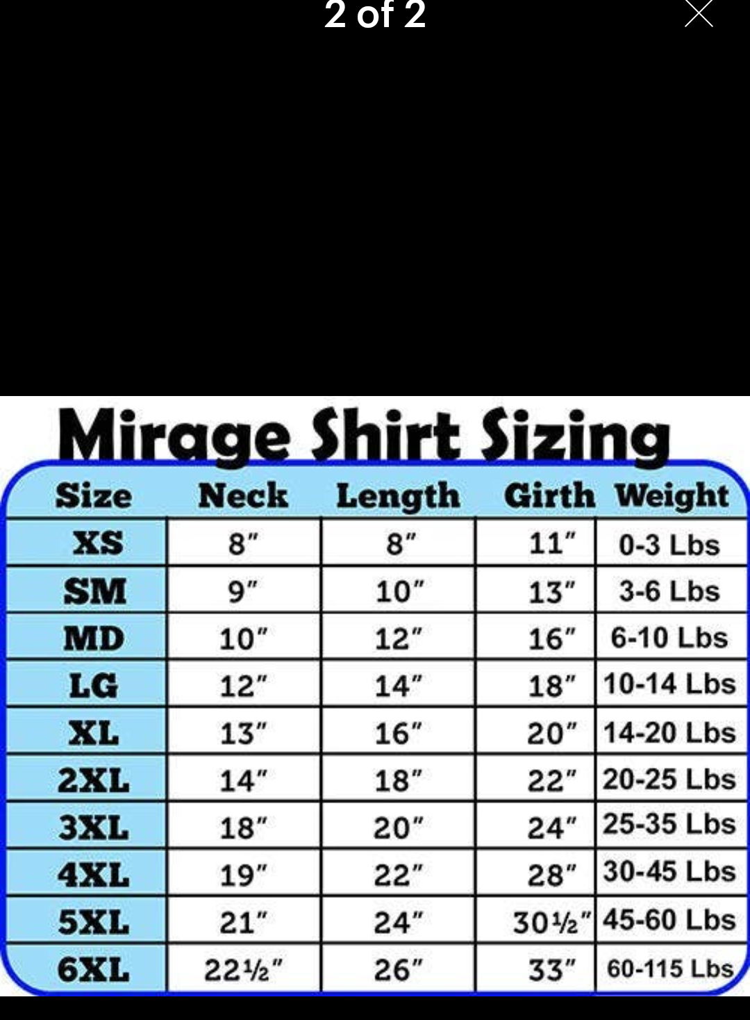 Pet Apparel Doggy T-shirt with "Big Brother" logo