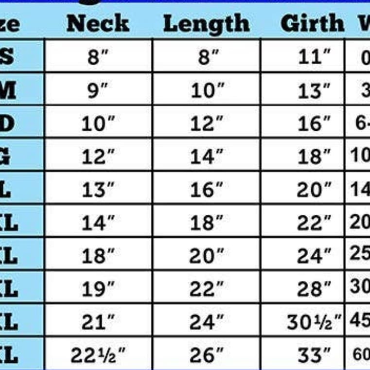 Red and Gold Male/Female Pet Doggy Puppy Christmas Present Holiday T-shirt